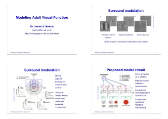 Surround modulation  (Series et al. 2003)  Modeling Adult Visual Function  Dr. James A. Bednar
