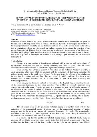 Pasadena, USA, December 9  14, 2001  RFNC-VNIITF MULTIFUNCTIONAL SHOCK TUBE FOR INVESTIGATING