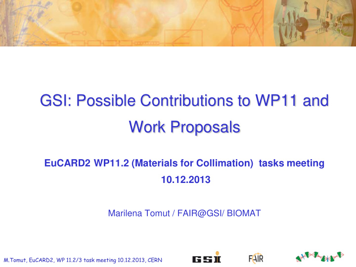 gsi possible contributions to wp11 and work proposals