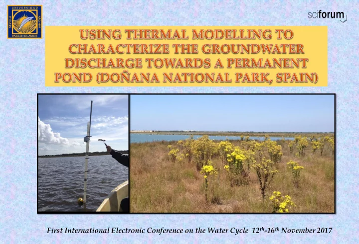 first international electronic conference on the water