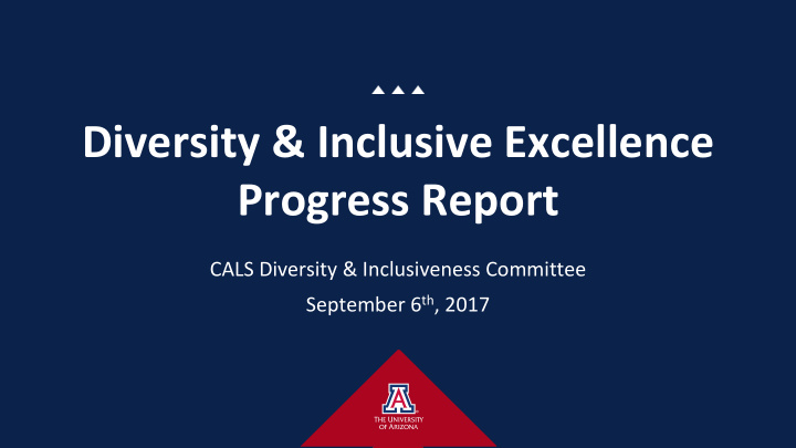 diversity inclusive excellence progress report