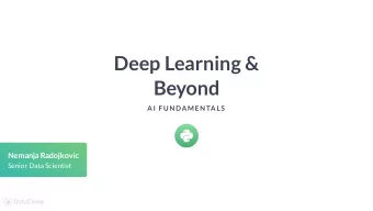 Deep Learning &amp;  Beyond  AI F UN DAMEN TALS  Nemanja Radojkovic  Senior Data Scientist  Brief
