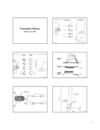 Transmitter Release January 22 nd , 2003 PNS IV F-14.1 PNS IV F-14.2 PNS IV F-14.3 PNS IV F-14.4  1