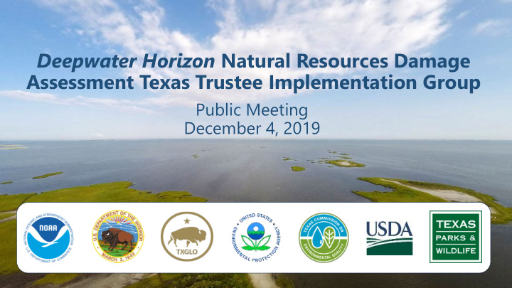 deepwater horizon natural resources damage assessment