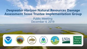 Deepwater Horizon Natural Resources Damage  Assessment Texas Trustee Implementation Group  Public
