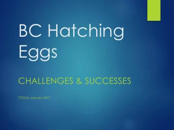 BC Hatching  Eggs  CHALLENGES &amp; SUCCESSES  COGA January 2017  What came first the  chicken or