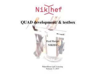 QUAD development/ &amp; testbox  Fred Hartjes  NIKHEF  Nikhef/Bonn LepCol meeting  February 11,