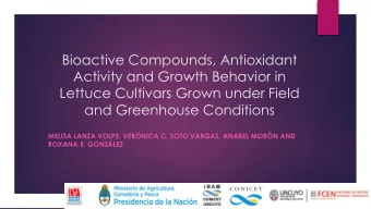 Bioactive Compounds, Antioxidant  Activity and Growth Behavior in  Lettuce Cultivars Grown under