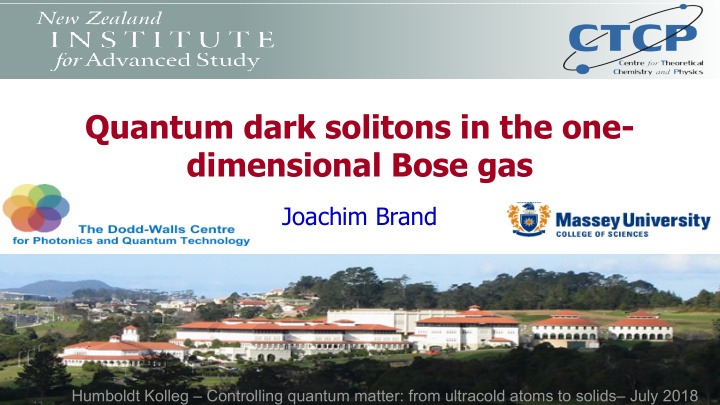 quantum dark solitons in the one dimensional bose gas