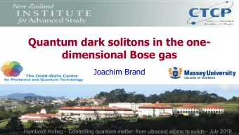 Quantum dark solitons in the one-  dimensional Bose gas  Joachim Brand  Humboldt Kolleg