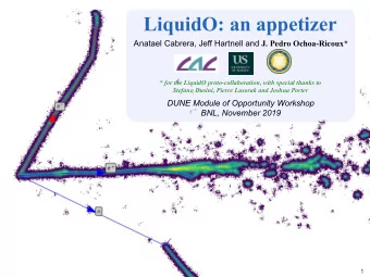LiquidO: an appetizer Anatael Cabrera, Jeff Hartnell and J. Pedro Ochoa-Ricoux*  * for the LiquidO