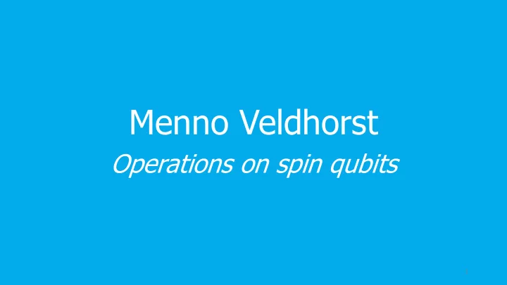 menno veldhorst