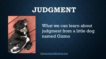 JUDGMENT  What we can learn about  judgment from a little dog  named Gizmo  thewordandtheway.net