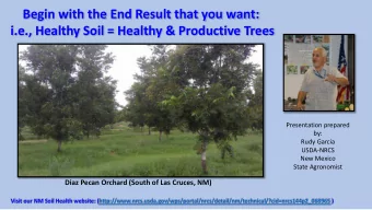 Begin with the End Result that you want:  i.e., Healthy Soil = Healthy &amp; Productive Trees