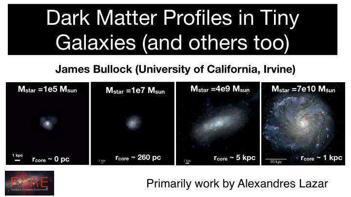 dark matter profiles in tiny galaxies and others too