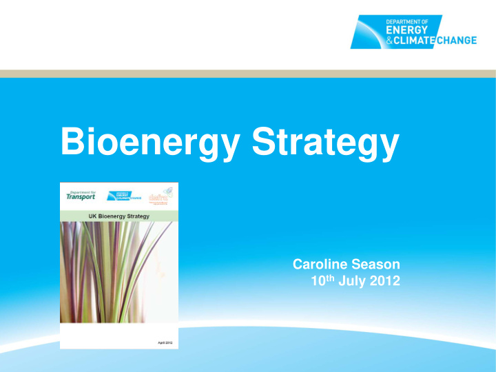 bioenergy strategy