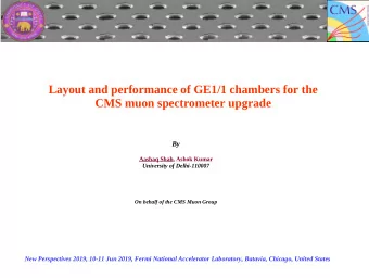 Layout and performance of GE1/1 chambers for the  CMS muon spectrometer upgrade  By  Aashaq Shah,
