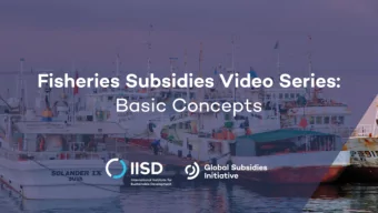 Maritime areas  Territorial sea (UNCLOS Articles 3-16) The area of water extending at most 12