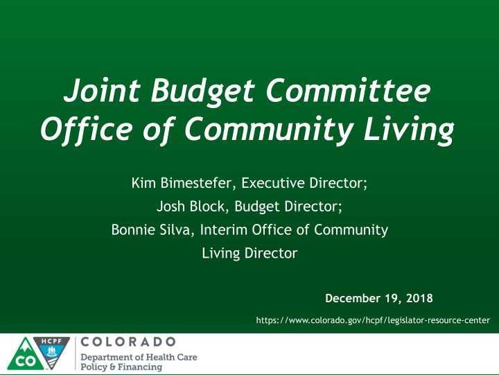 joint budget committee