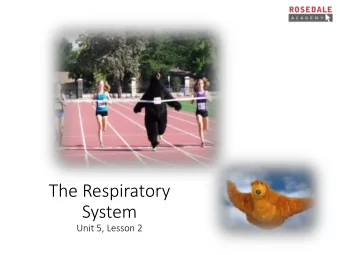 System  Unit 5, Lesson 2  Learning Goals  Today we will be learning:  The EA sound