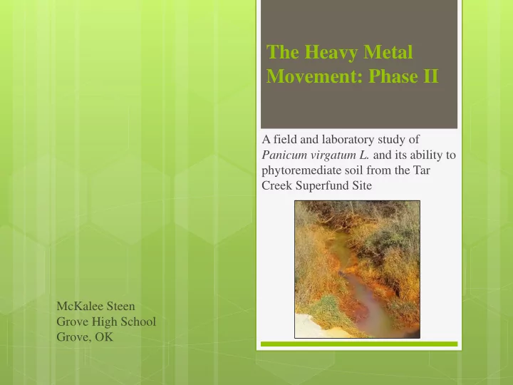 the heavy metal movement phase ii
