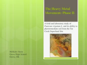 The Heavy Metal  Movement: Phase II  A field and laboratory study of Panicum virgatum L. and its