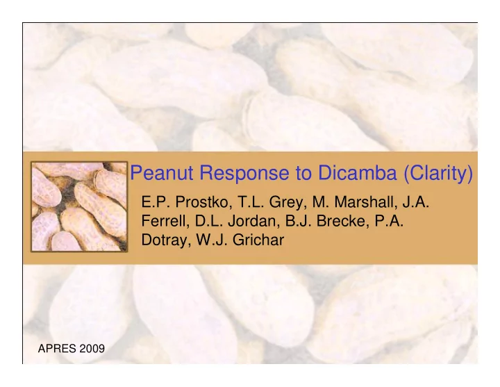 peanut response to dicamba clarity