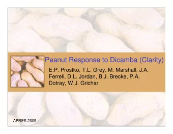 Peanut Response to Dicamba (Clarity)  E.P. Prostko, T.L. Grey, M. Marshall, J.A.  Ferrell, D.L.