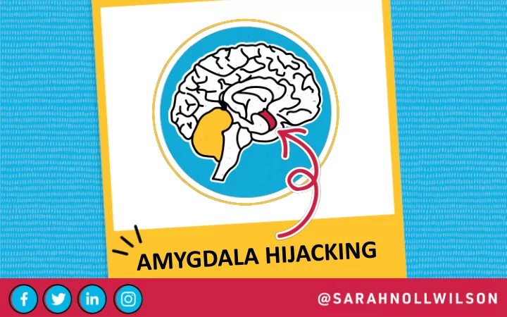 amy g amy g da dala focus on self focus on others