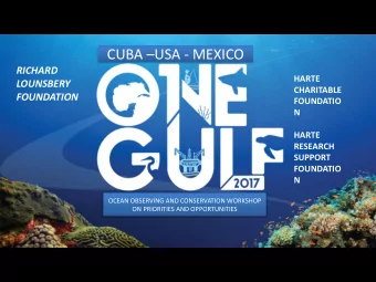 CUBA  USA - MEXICO  RICHARD  HARTE  LOUNSBERY  CHARITABLE  FOUNDATION  FOUNDATIO  N  HARTE