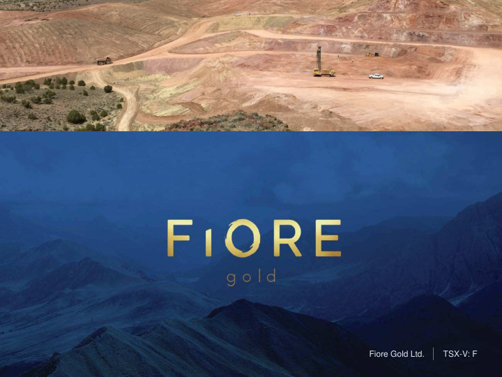 fiore gold ltd tsx v f disclaimer