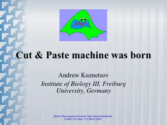 Cut &amp; Paste machine was born  Andrew Kuznetsov  Institute of Biology III, Freiburg  University,