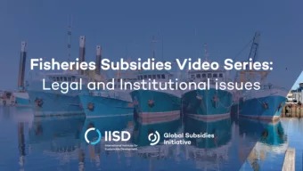 Key Decision  Transparency and notifications  Key decision:  Should the agreement require