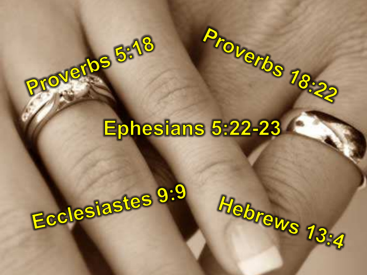 co habitation divorce homosexual marriage marriage is god