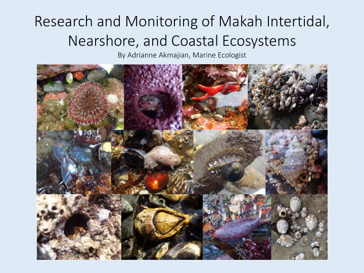 research and monitoring of makah intertidal nearshore and