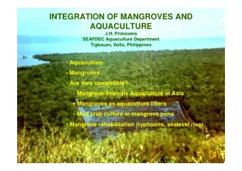 INTEGRATION OF MANGROVES AND  AQUACULTURE  J.H. Primavera  SEAFDEC Aquaculture Department