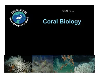 Tab N, No. 4  Shallow  Deep  LIGHT!  No light!  Low nutrient-  Low nutrient