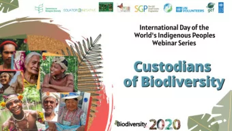 UNDP-GEF Global ABS Project  OBJECTIVE: Strengthening human  resources, legal frameworks and