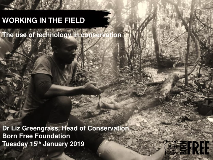 working in the field