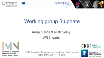 Working group 3 update  Anna Caroli &amp; Nick Selby  WG3 leads  3rd International Conference on