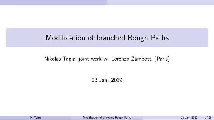 modification of branched rough paths
