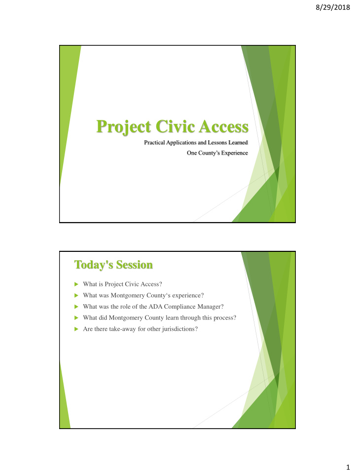 project civic access