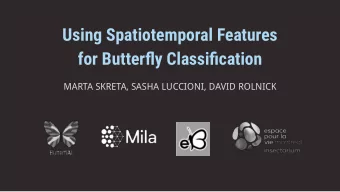 Using Spatiotemporal Features  for Butterfly Classification  MARTA SKRETA, SASHA LUCCIONI, DAVID