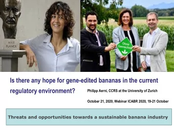 Is there any hope for gene-edited bananas in the current  regulatory environment?  Philipp Aerni,