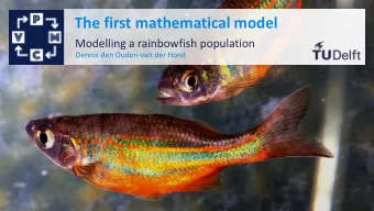 The first mathematical model  Modelling a rainbowfish population  Dennis den Ouden-van der Horst