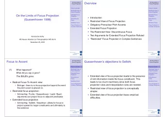 Overview  Focus Projection  Focus Projection  Focus to Accent  Focus to Accent  Restricted View of