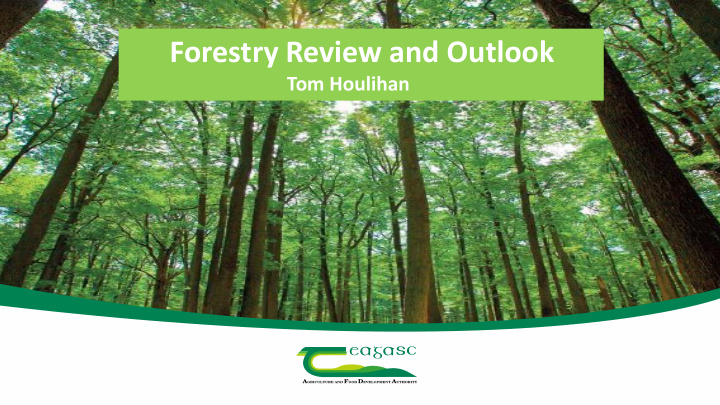 forestry review and outlook