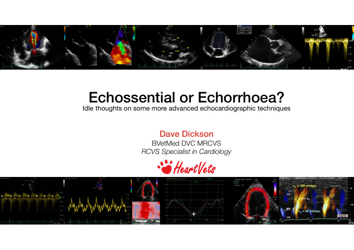 echossential or echorrhoea