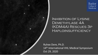 Inhibition of Lysine  Demethylase 4A  (KDM4A) Rescues 3p  Haploinsufficiency  Ruhee Dere, Ph.D. 14