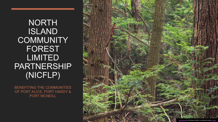 north island community forest limited partnership nicflp